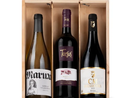 Estuche de Vino Gondíaz con Ribera del Duero Tinto TARSUS Crianza 22/23 — regalo de Navidad para empresas — ES409
