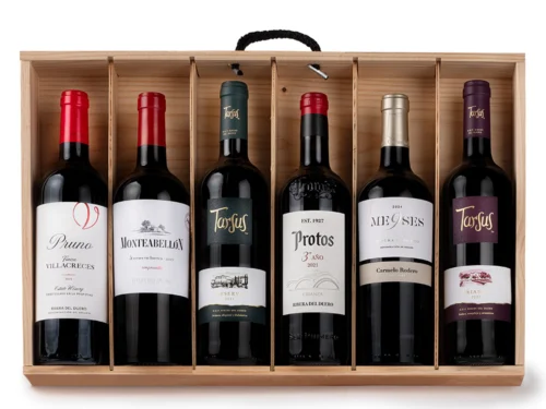 Estuche de Vino Gondíaz con Ribera del Duero Tinto CARMELO RODERO 9 Meses Barrica — regalo de Navidad para empresas — ES456