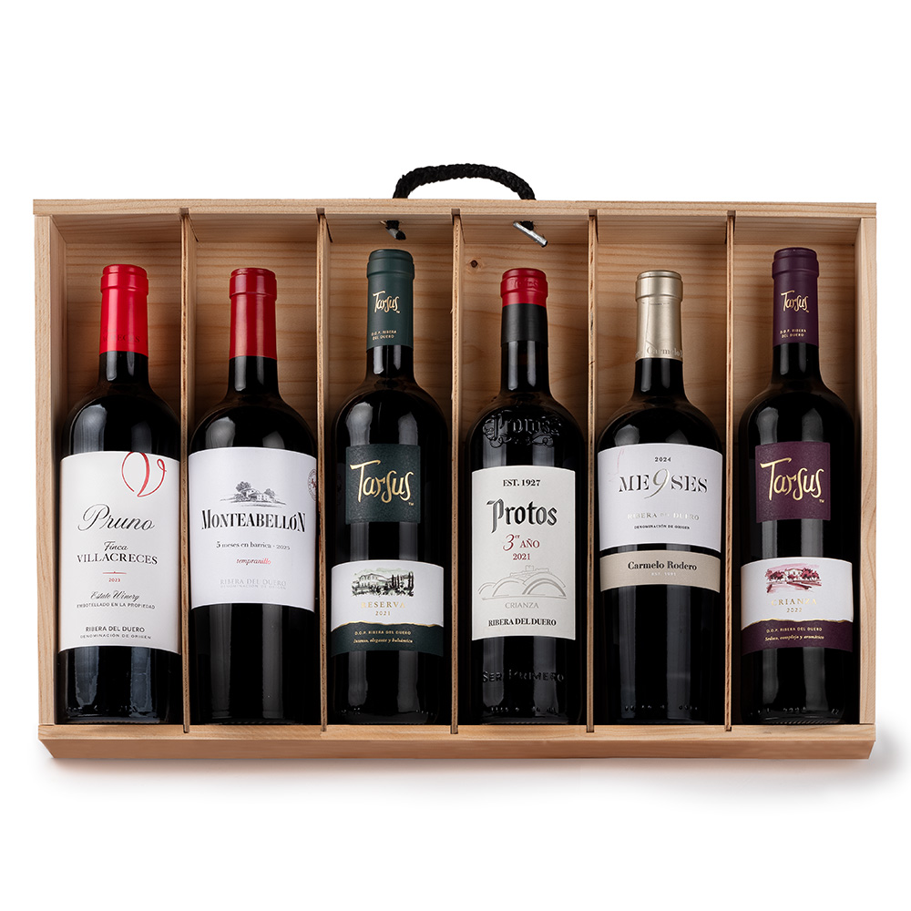 Estuche de Vino Gondíaz con Ribera del Duero Tinto CARMELO RODERO 9 Meses Barrica — regalo de Navidad para empresas — ES456