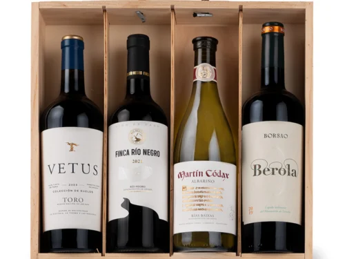 Estuche de Vino Gondíaz con Campo de Borja Tinto BORSAO Berola Crianza 19/20 — regalo de Navidad para empresas — ES482