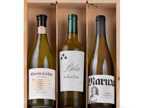 Estuche de Vino Gondíaz con Rías Baixas Albariño MARTIN CODAX — regalo de Navidad para empresas — ES488